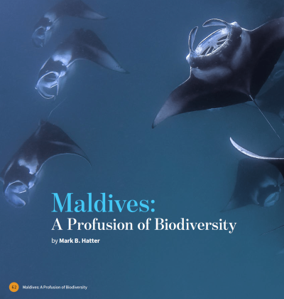 Maldives biodiversity