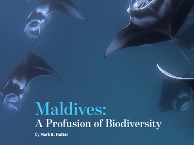 Maldives biodiversity