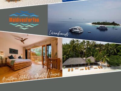 Introducing “MaldivesForYou”: Your Gateway to Paradise!