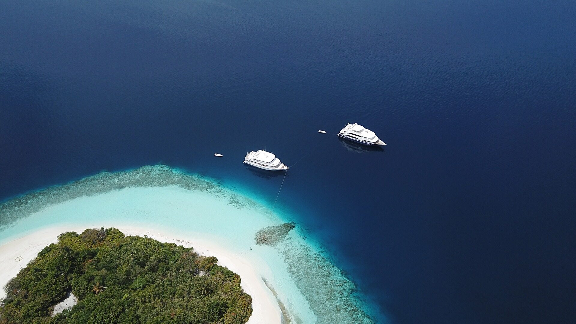 DIVING CRUISE YACHTS