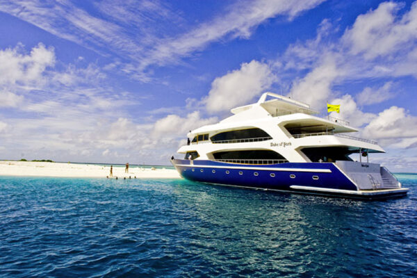 Fall 2023 – Cruise The Maldives