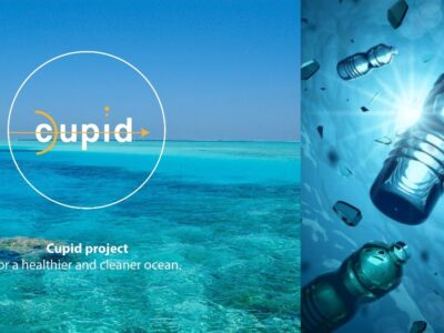 Dive with Love: Join the CUPID Project in the Maldives