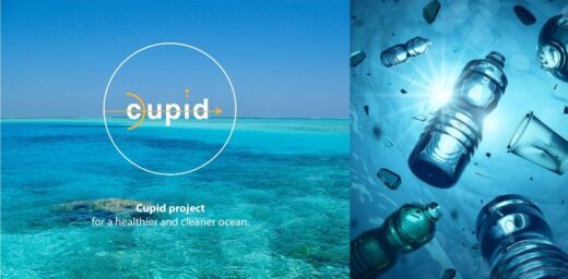 Dive with Love: Join the CUPID Project in the Maldives￼