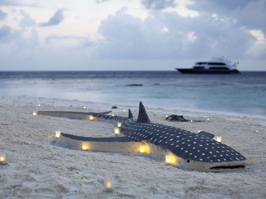 Maldives Special Cruise Offers 2026