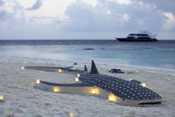 Maldive