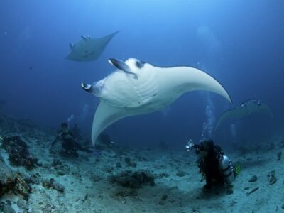 MALDIVES Photo Workshop